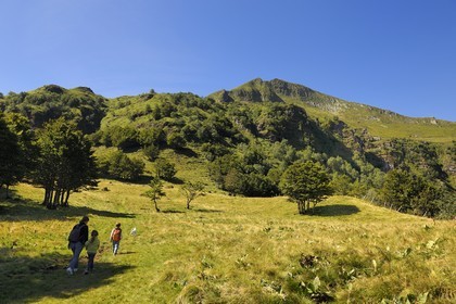 France, Cantal (15), monts du Cantal, Parc Naturel Régional des Volcans d' Auvergne, randonnée au pied de la montagne du Puy-Mary (1783m)