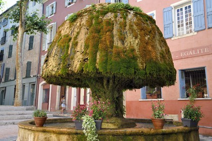 France, Var (83), Provence Verte, Barjols, fontaine dite du champignon recouverte de tuf et de mousse devant l'hotel de ville