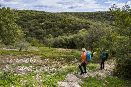 France, Gard, Saint-Maximin, path in the scrubland at the exit of the village on the route of the Roman aqueduct of Nimes