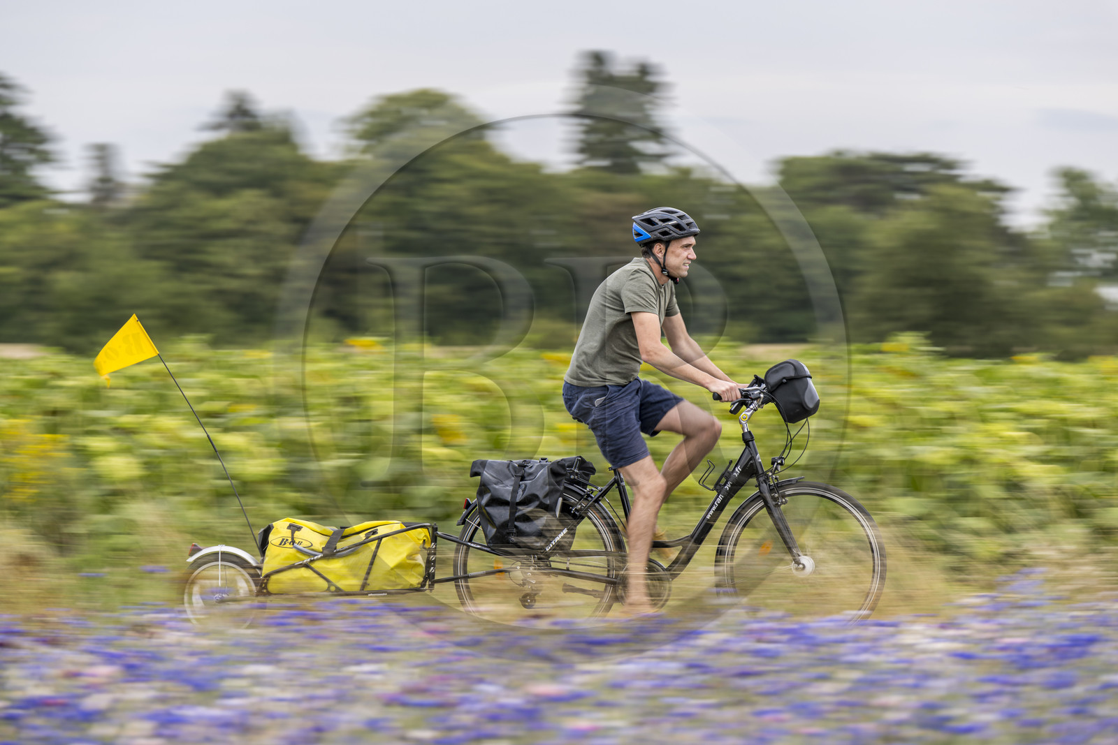 France, Maine-et-Loire (49), vallée de la Loire classée au Patrimoine Mondial par l'UNESCO, Saumur vers Saint-Hilaire, randonnée à bicyclette avec une remorque transportant le matériel de camping