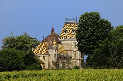 France, Côte d'Or (21), Aloxe-Corton, le Château Corton-André