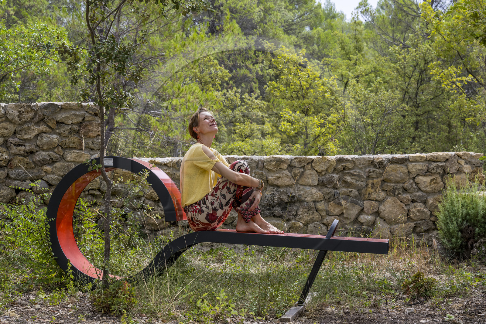 France, Var, Provence Verte (Green Provence), Bras, Academie du Bain de Foret Provencale (Academy of Forest Bathing in Provence), forest of the domaine Le Peyrourier - une campagne en Provence, Constanze Coisne guides Shinrin Yoku France, Var, Provence Verte (Green Provence), Bras, Academie du Bain de Foret Provencale (Academy of Forest Bathing in Provence), forest of the domaine Le Peyrourier - une campagne en Provence, Constanze Coisne guides Shinrin Yoku