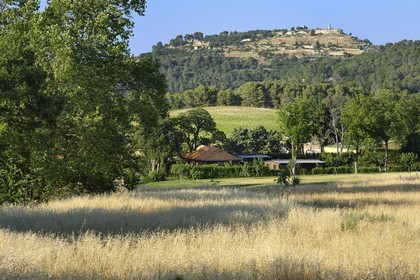 France, Bouches du Rhone,  Le Puy Sainte Reparade, Chateau La Coste vineyard and contemporary art center, Vietnamese Tea Pavilion