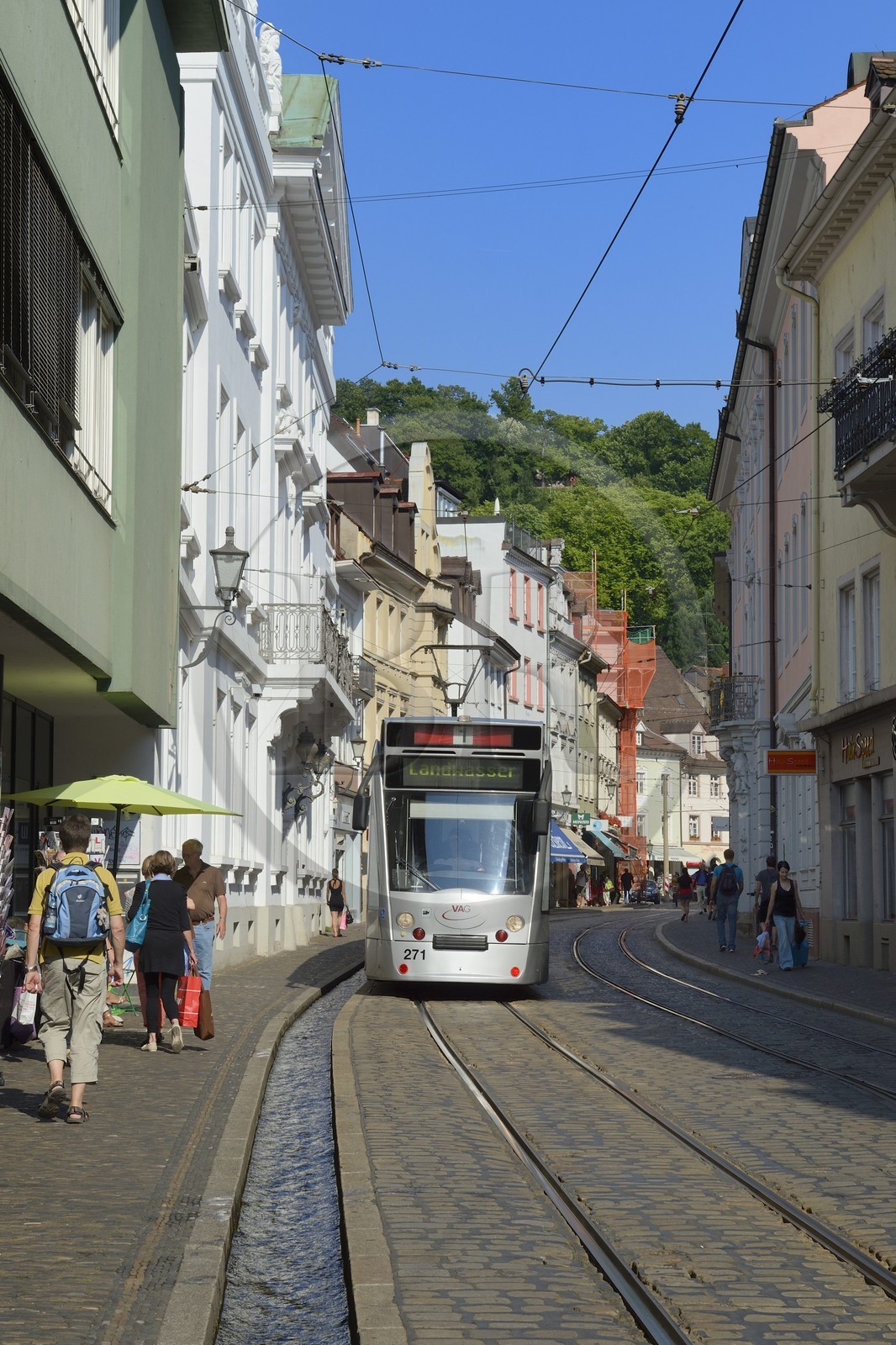 Allemagne, Bade-Wurtemberg, Fribourg en Brisgau, Salzstrasse, un des Bächle qui sont des petits caniveaux ouverts qui bordent les trottoirs de la vieille ville