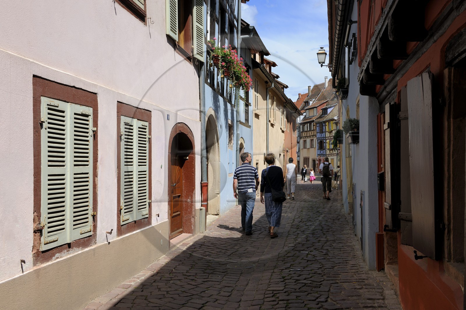 France, Haut-Rhin (68), Colmar, quartier de la Krutenau, anciennes maison de pêcheurs colorées rue de la Poissonnerie