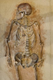 France, Corse du Sud, Alta Rocca, village of Levie, Alta Rocca Museum, the Lady of Bonifacio, the oldest human Mesolithic remains from Corsica (6570 BC)