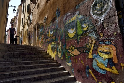 France, Bouches-du-Rhône (13), Marseille, quartier du Panier, escalier de la rue des Repenties, graffitis du magasin concept Undartground, oeuvre du street artiste brésilien Nhobi