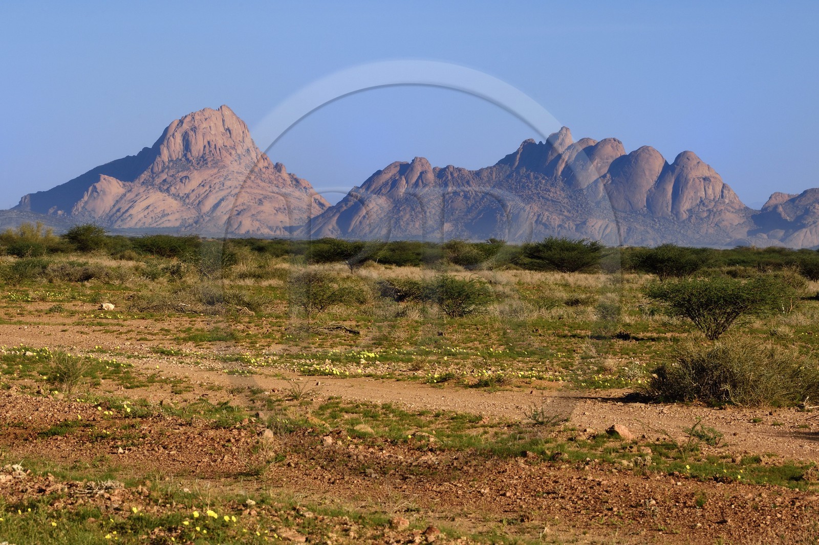 Namibie, région de Erongo, Damaraland, le Spitzkoppe ou Spitzkop (1784 m), montagne granitique dans le désert du Namib, le Grand Spitzkoppe à droite et le Petit Spitzkoppe à gauche