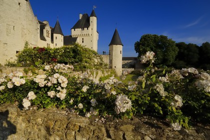 France, Indre et Loire, Chateau du Rivau