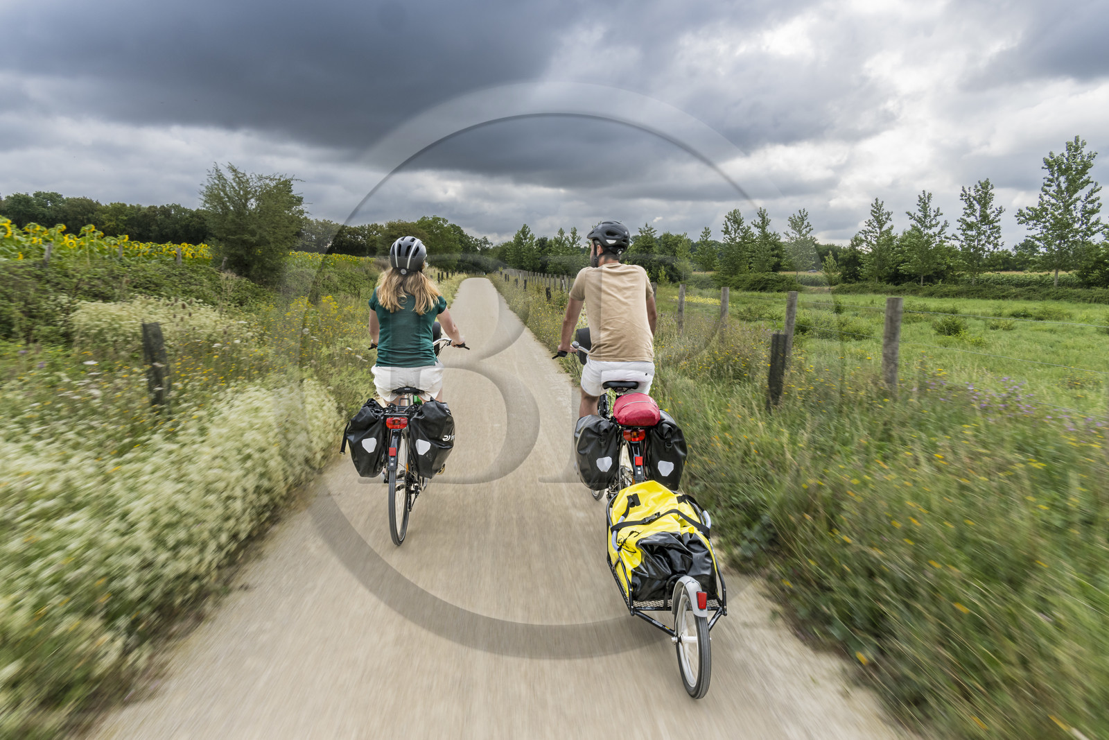 France, Deux-Sèvres (79), le Marais Poitevin, la Venise Verte, Magné, randonnée à bicyclette le long de la Sèvre Niortaise sur la voie cyclable de la Vélo Francette, vélo avec une remorque transportant le matériel de camping