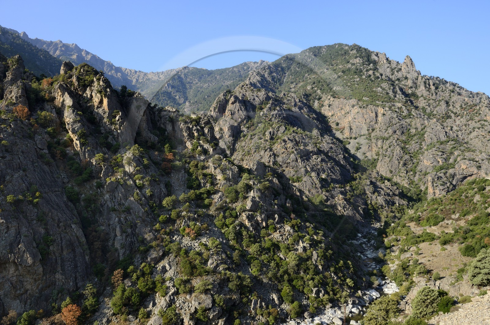 France, Haute-Corse (2B), région du Niolu (Niolo), le défilé rocheux de la Scala di Santa Regina et la rivière de Golo