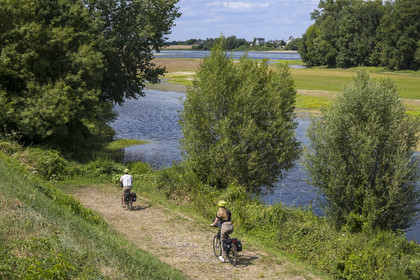 France, Maine-et-Loire, Loire valley listed as World Heritage by UNESCO, Gennes-Val-de-Loire, cycling on the banks of the Loire