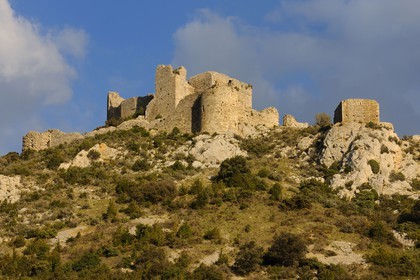 France, Aude, Cathar castle of Aguillar ruins in the heart of Corbieres ..