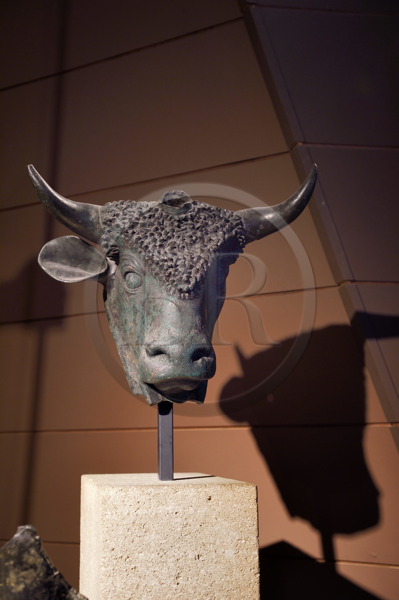 Suisse, canton du Valais, Martigny, Fondation Pierre Gianadda, Musée gallo-romain, tête d'un taureau en bronze tricorne, animal sacré de la mythologie gauloise, trouvé dans les fouilles du forum de Martigny Suisse, canton du Valais, Martigny, Fondation Pierre Gianadda, Musée gallo-romain, tête d'un taureau en bronze tricorne, animal sacré de la mythologie gauloise, trouvé dans les fouilles du forum de Martigny