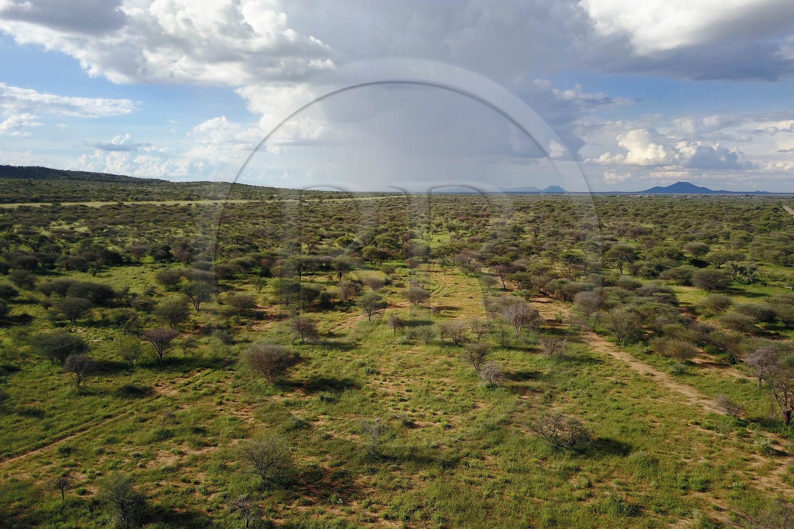 Namibie, région de Otjozondjupa, le bush namibien vers Kalkfeld (vue aérienne)