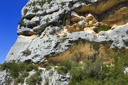 France, Alpes-de-Haute-Provence (04), Parc Naturel Régional du Verdon, les Gorges du Verdon en contrebas du village de Rougon et du Point Sublime