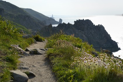 France, Finistère (29), Mer d'Iroise, Plogoff, Pointe du Raz, sentier du GR 34