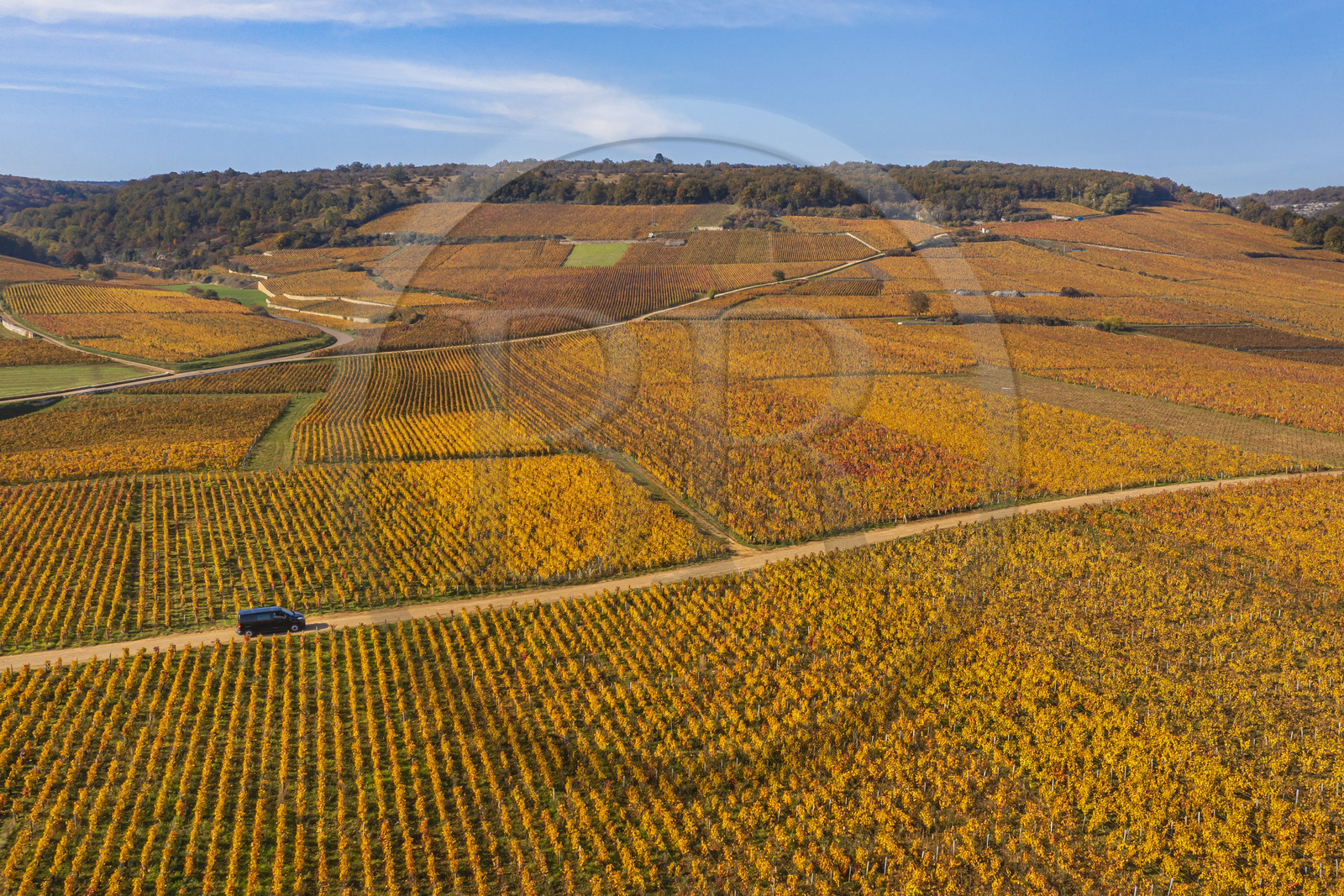 France, Côte-d'Or (21), Paysage culturel des climats de Bourgogne classés Patrimoine Mondial de l'UNESCO, Route des Grands Crus, le vignoble du village de Vosne-Romanée (vue aérienne)