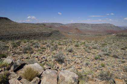 Namibie, région de Hardap, désert du Namib à l'Est du parc national Namib Naukluft, col de Zaris