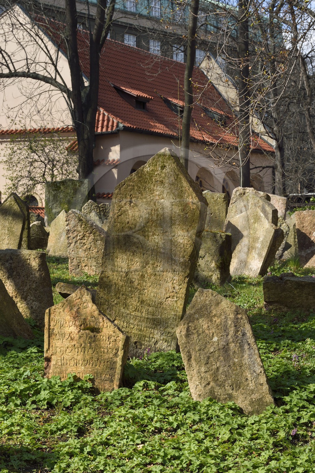 République Tchèque, Prague, centre historique classé Patrimoine Mondial de l'UNESCO, quartier juif de Josefov, cimetière juif et la synagogue Pinkas en arrière plan République Tchèque, Prague, centre historique classé Patrimoine Mondial de l'UNESCO, quartier juif de Josefov, cimetière juif et la synagogue Pinkas en arrière plan