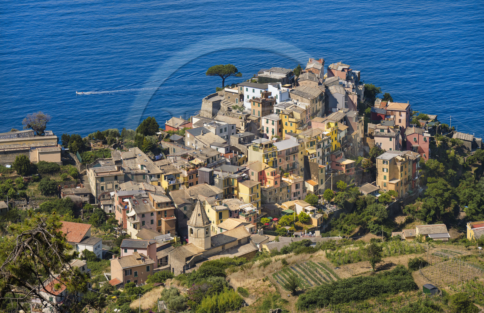 Italie, Ligurie, Cinque Terre, parc national des Cinque Terre classé Patrimoine Mondial de l'UNESCO, le village perché de  Corniglia située au sommet d'un promontoire surplombant la mer Méditerranée à environ 100 m d'altitude