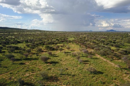 Namibie, région de Otjozondjupa, le bush namibien vers Kalkfeld (vue aérienne)