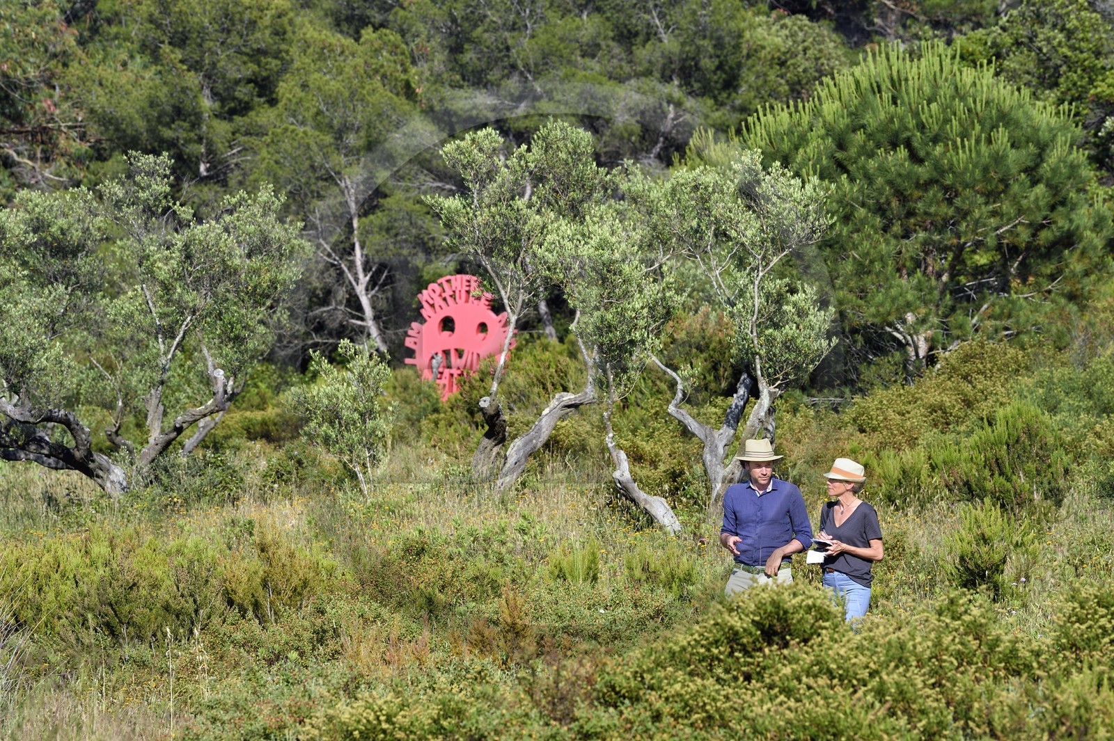 France, Var (83), Iles d'Hyères, parc national de Port Cros, Ile de Porquerolles, la Fondation Carmignac, I am Mother Nature and I will eat you sculpture d’Olaf Breuning, Charles Carmignac directeur de la Fondation Carmignac