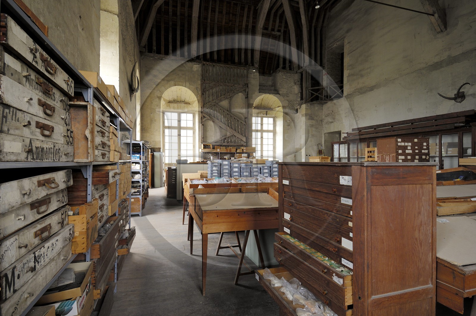 France, Loir-et-Cher (41), vallée de la Loire classée au Patrimoine Mondial de l'UNESCO, château de Blois, réserves du Muséum d'histoire naturelle sous les combles de l'aile Gaston d'Orléans