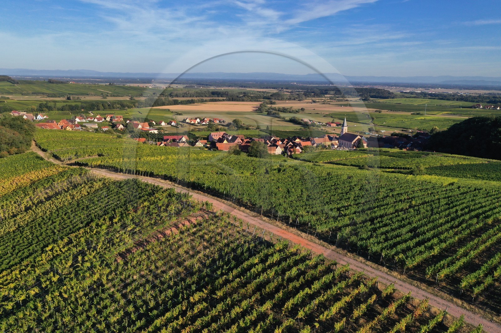 France, Bas-Rhin (67), Route des vins d'Alsace, le village de Nothalten et le vignoble du grand cru Muenchberg, la plaine d'Alsace et la Foret Noire en arri
