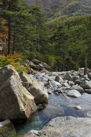 France, Haute Corse, Vivario, hiking on the GR 20, between Onda refuge and Vizzavona, Vizzavona forest, Englishmen cascades, waterfalls group in the Agnone valley under the Monte d'Oro