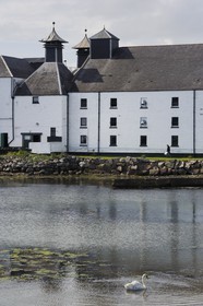 Royaume-Uni, Ecosse, Hébrides intérieures, Ile de Islay, Port Ellen, distillerie de whisky Laphroaig