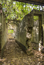 France, French Guiana, Kourou, Salvation Islands (Iles du Salut), Saint Joseph Island, ruin of the penal colony dedicated to the seclusion of the most difficult prisoners