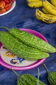 France, Guyane, Javouhey, marché du dimanche Hmong, réfugiés du Laos arrivés en 1978 qui se sont spécialisés dans la culture fruitière, margoze (concombre amère)