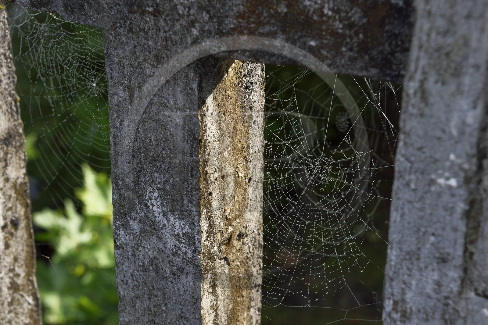 France, Pyrénées-Atlantiques (64), Pays-Basque, Saint-Etienne-de-Baïgorry, toiles d'araignées sur le pont