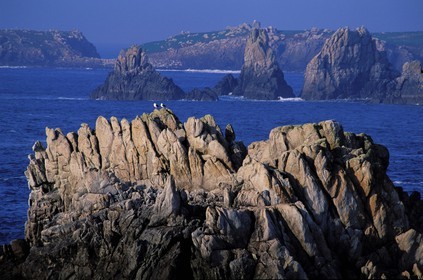 France, Finistere, Ouessant island, cliffs on the West coast
