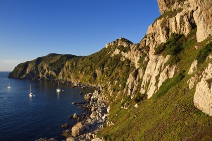 France, Var (83), Iles d'Hyères, parc national de Port Cros, Ile de Porquerolles, le cap des Mèdes