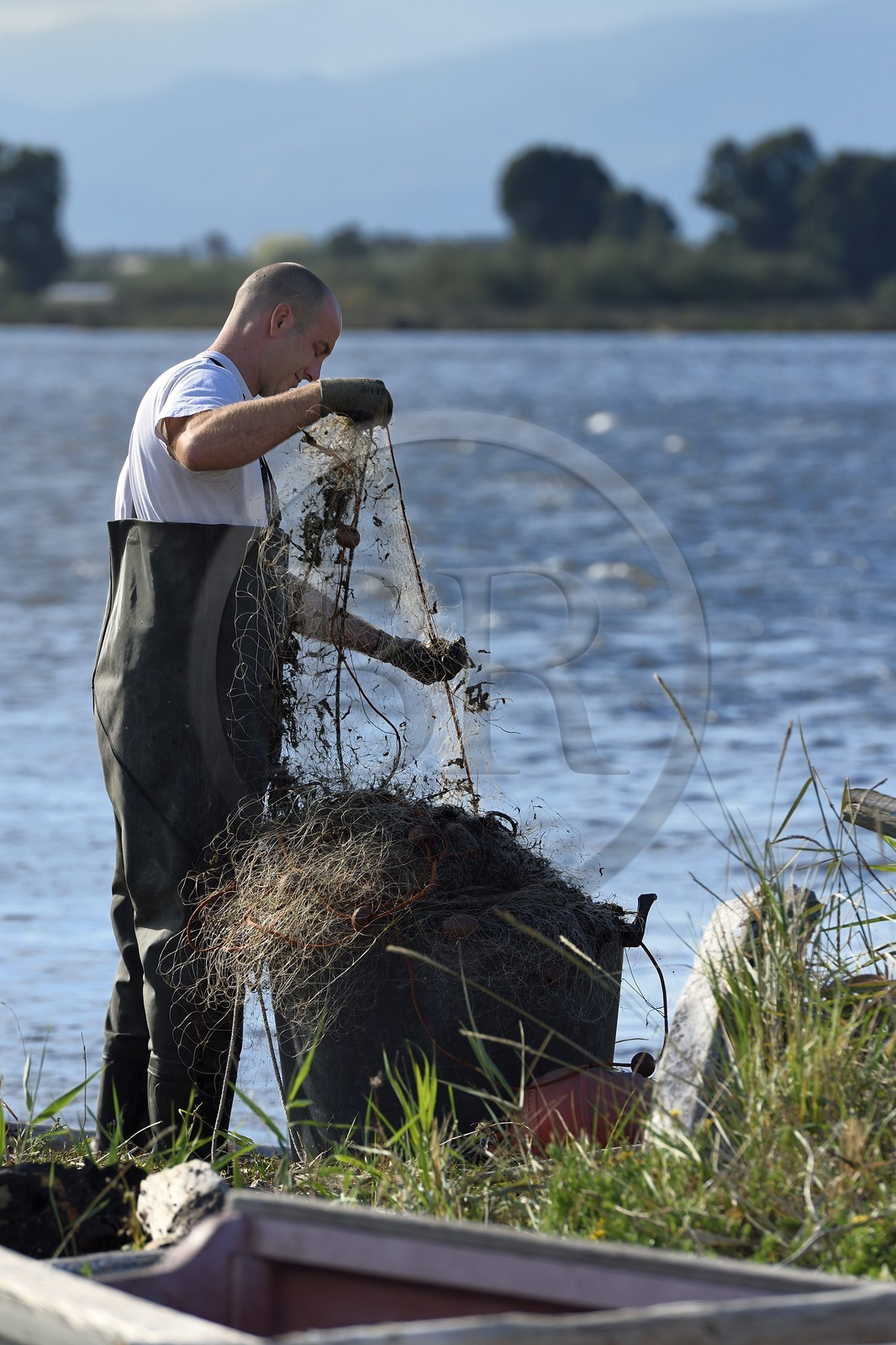 France, Haute-Corse (2B), l'étang de Biguglia (stagnu di Chjurlinu), réserve naturelle de Corse (RNC), pecheur nettoyant son filet