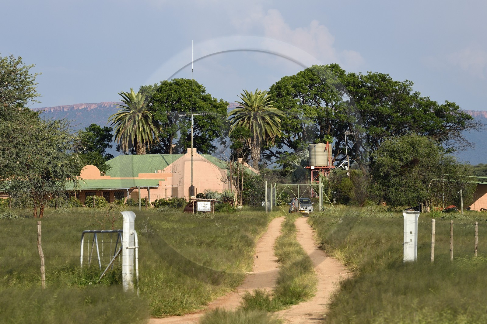 Namibie, région de Otjozondjupa, Otjiwarongo, la ferme d'élevage bovin et ovin de Paul Visser
