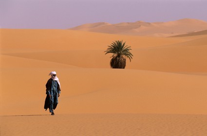 Libya, region of the desert, Fezzan (Sahara), little oasis in middle of the dunes