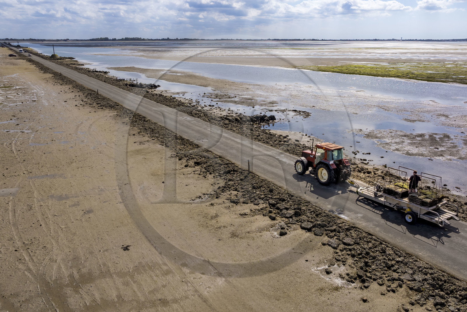 France, Vendée (85), île de Noirmoutier, Barbatre, tracteur ostréicole sur le passage du Gois, chaussée submersible qui relie l'île au continent à marrée basse (vue aérienne)