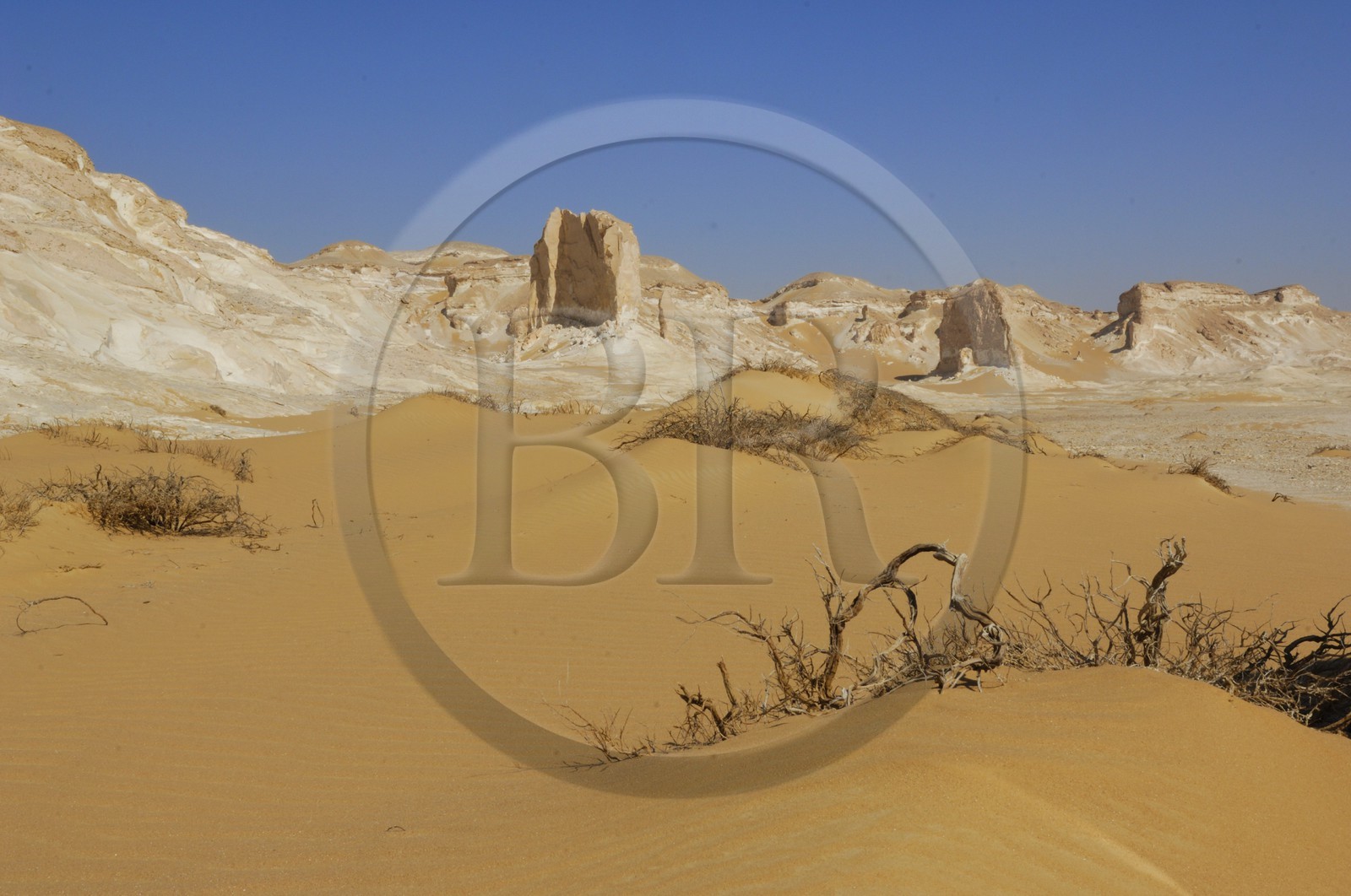 Egypte, désert libyque, le Désert Blanc au nord de Farafra