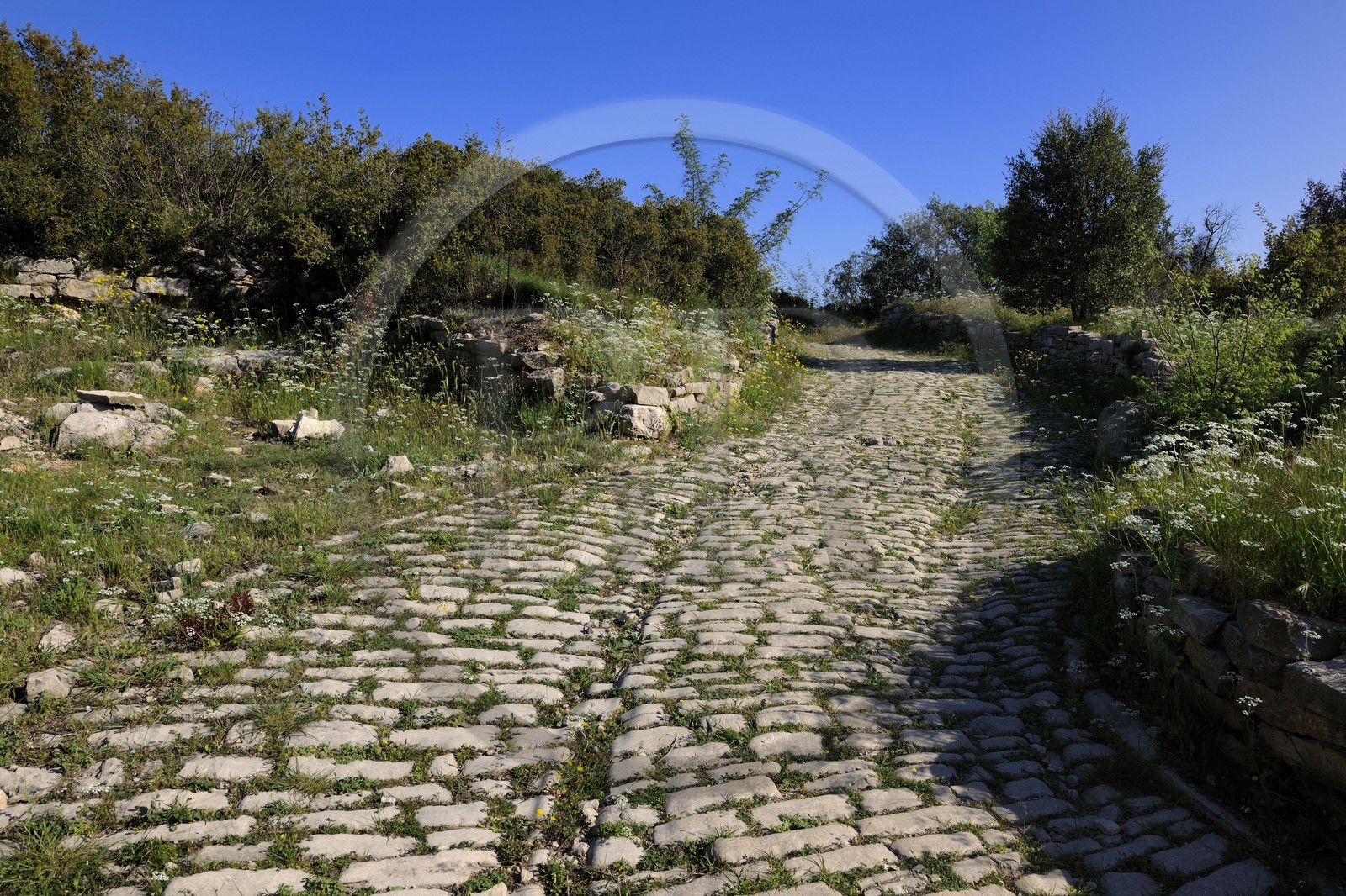 France, Herault, near Lunel, Oppidum of Ambrussum on the Via Domitia, paved streets worn out by the passage of wagons