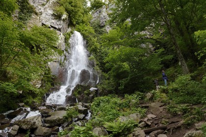 France, Bas Rhin, between Wangenbourg-Engenthal and Oberhaslach, the Nideck waterfall in the Vosges Mountains