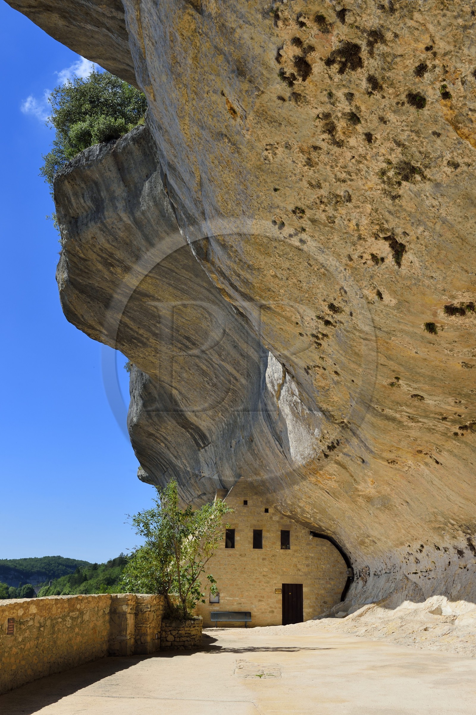 France, Dordogne (24), Périgord Noir, vallée de la Vézère, Les Eyzies-de-Tayac-Sireuil, site classé Patrimoine Mondial de l'UNESCO, la falaise et l'ancien Chateau de Tayac des barons de Beynac