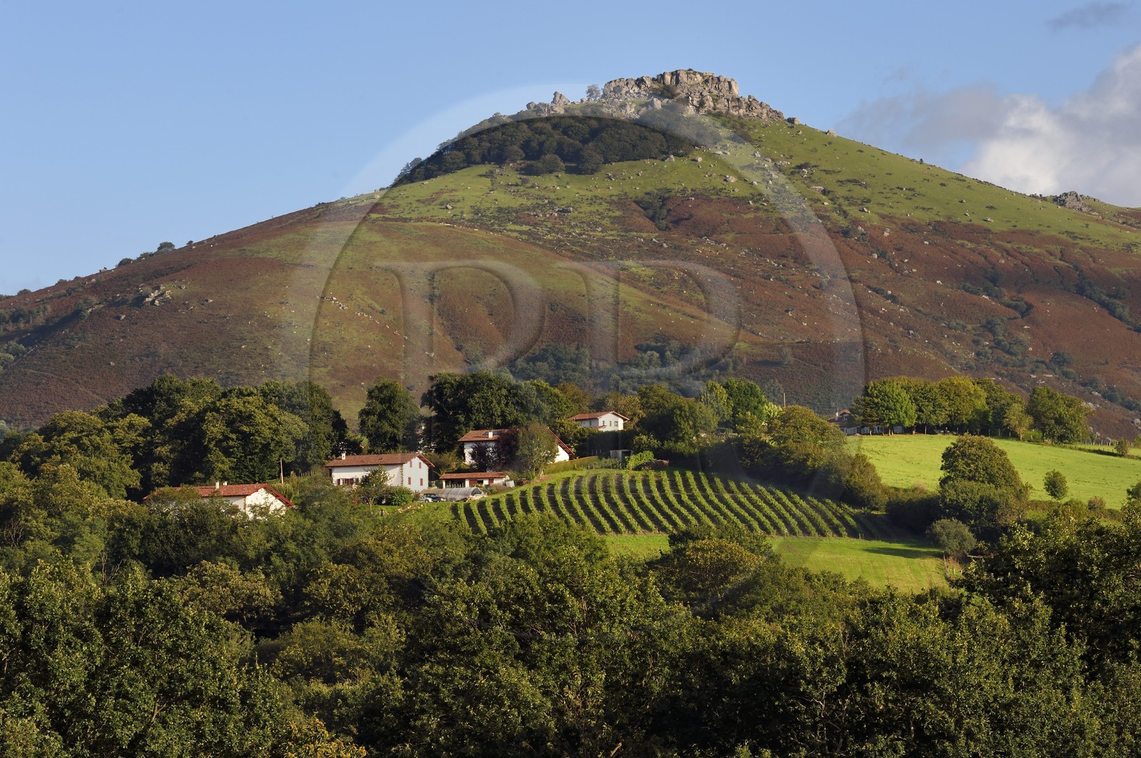 France, Pyrénées-Atlantiques (64), Pays-Basque, Espelette, hameau au pied du mont Mondarrain