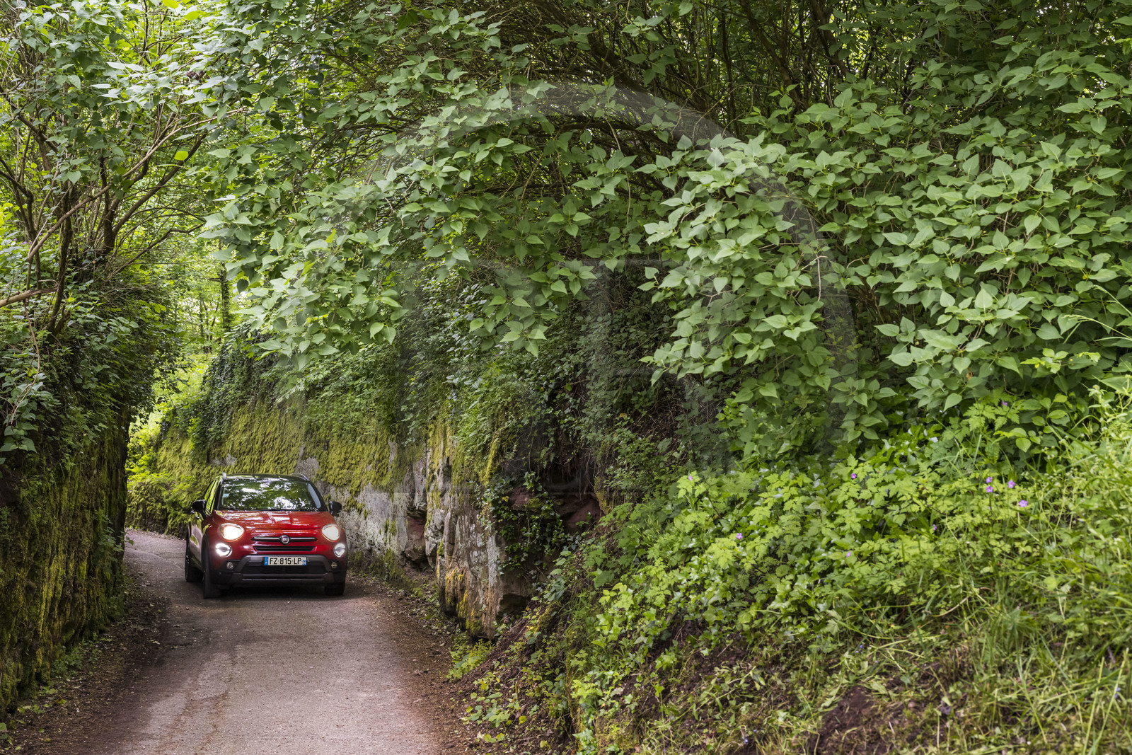 France, Bas-Rhin (67), Parc Naturel régional des Vosges du Nord, La Petite Pierre, la petite route forestière creusée dans le roc de grès à la sortie du bourg