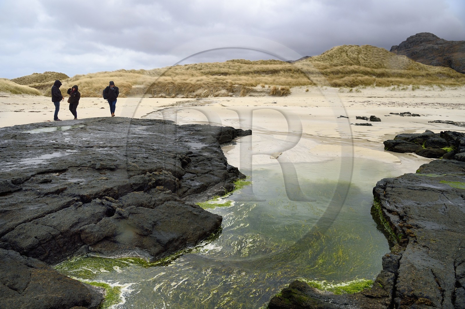 Royaume-Uni, Ecosse, Highland, Lochaber, plage de Sanna à l'extrémité ouest de la péninsule d'Ardnamurchan