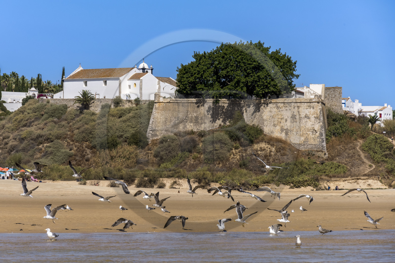Portugal, Algarve, Parc Naturel de la Ria Formosa, Tavira, forteresse du village de Cacela Velha Portugal, Algarve, Parc Naturel de la Ria Formosa, Tavira, forteresse du village de Cacela Velha