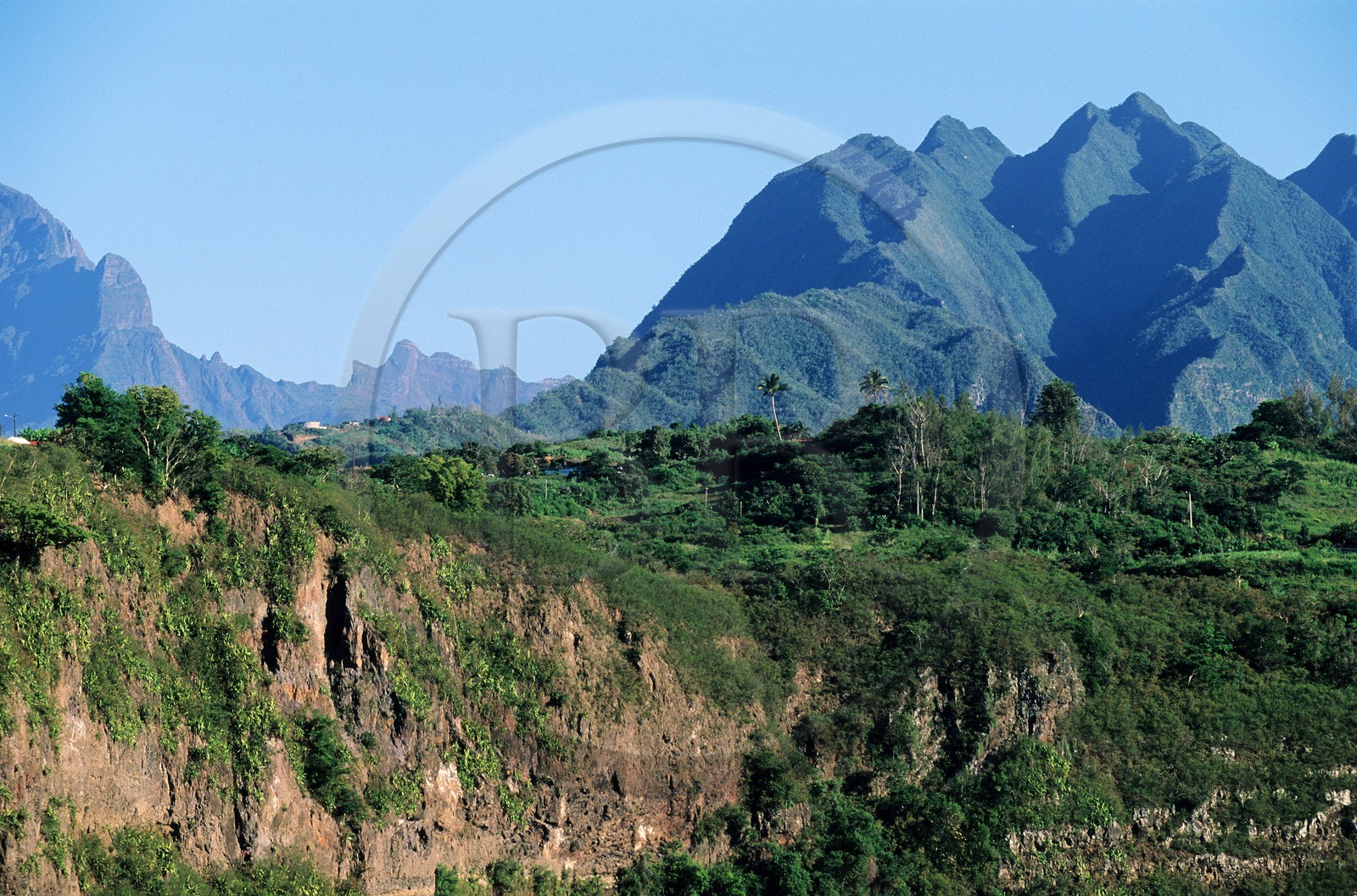 France, île de la Réunion, les Hauts de Saint-Louis, le Bras de la Plaine sur la commune d'Entre-Deux