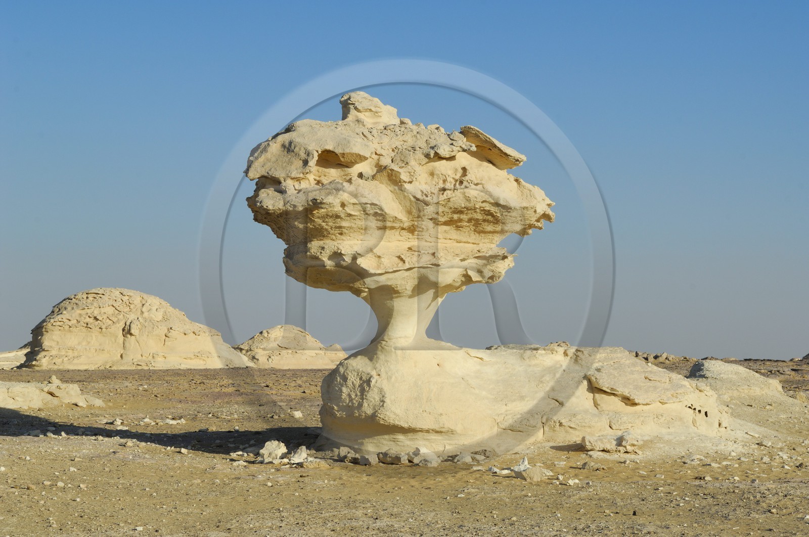 Egypte, désert libyque, le Désert Blanc au nord de Farafra